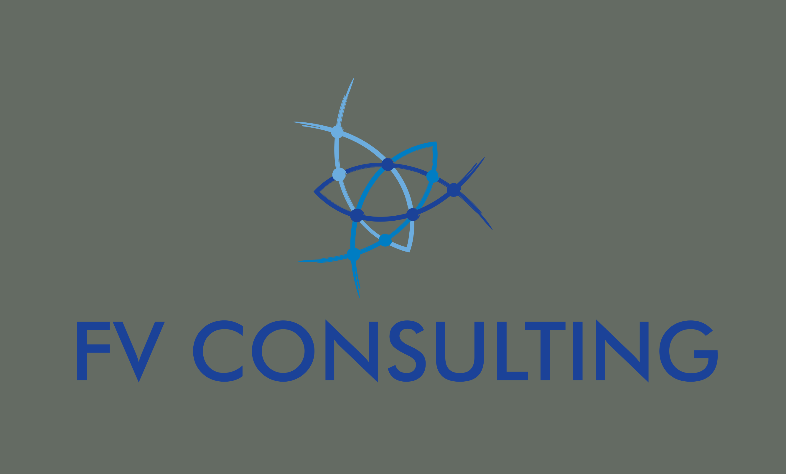 FV Consulting